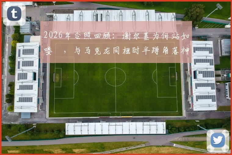 2026年合照回顾:谢尔基为何站如喽啰,与马克龙同框时半蹲角落神情局促全解析